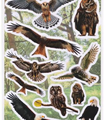 HERMA Stickers Decoratief Roofvogels