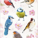 Herma Decoratiestickers Tuinvogels