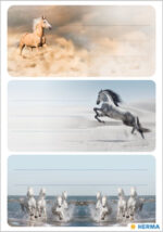 Etikettenboek 'Paarden' met losse blaadjes