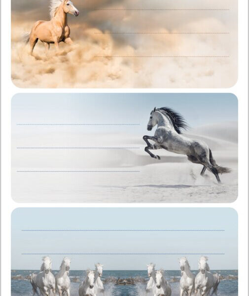 Etikettenboek 'Paarden' met losse blaadjes
