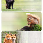 Herma bosetiketjes variabel 'Bosdieren'