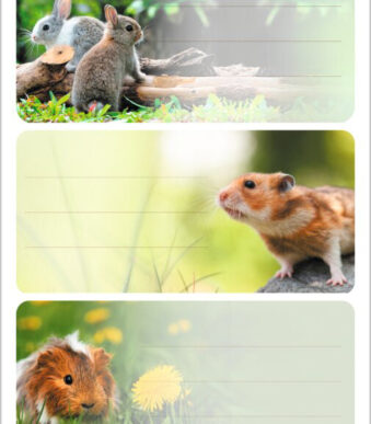 Herma Etiketten voor Boeken 'Knaagdieren'