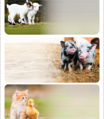 Herma boerderijdieretiketten