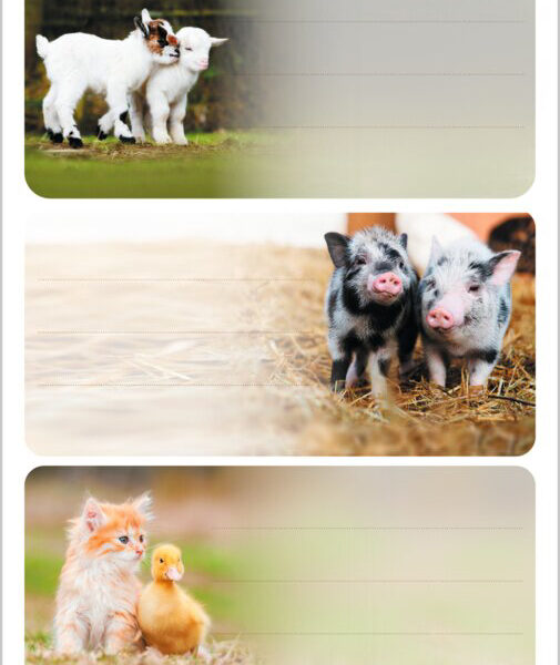 Herma boerderijdieretiketten