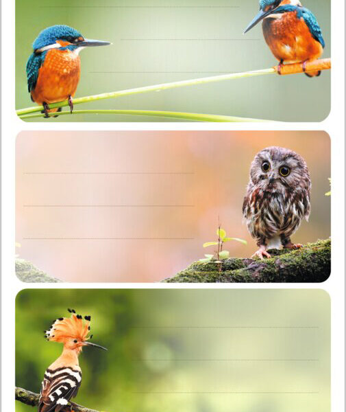 Etiketten voor boeken 'Vogels van hier'