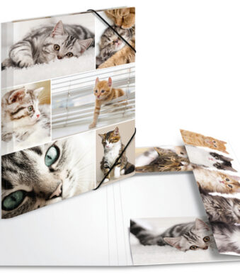 Hoekpuntmap 'Katten', uit karton, A4-formaat.