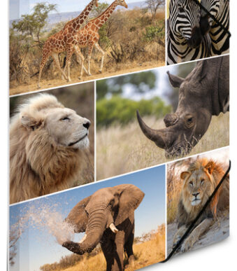 Hoekdrukhoesje 'Afrikaanse dieren', van karton, A4-formaat.