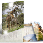 Hoekbeschermer map 'Giraf', PP glanzend, formaat A4