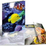 Hoekspannermapje 'Vissen', Glanzend PP, Formaat A4