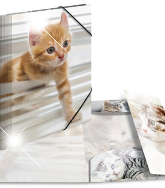 Hoekspanmap 'Katten', geglansde kunststof, formaat A4.