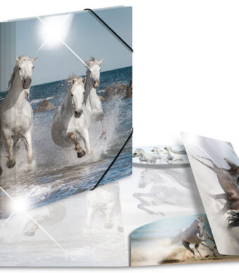 Hoekspannermap 'Paarden', PP Glanzend, A4-formaat