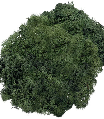 Knorr vlokkige zeewier, 50 g, dennegroen.