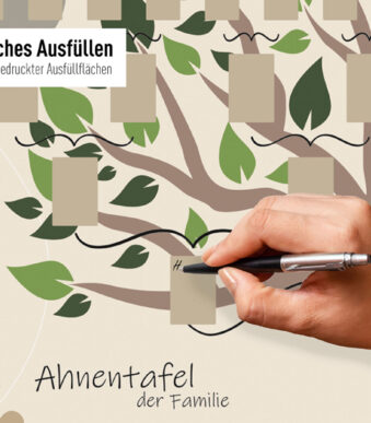 Geïllustreerde stamboom, formaat A1