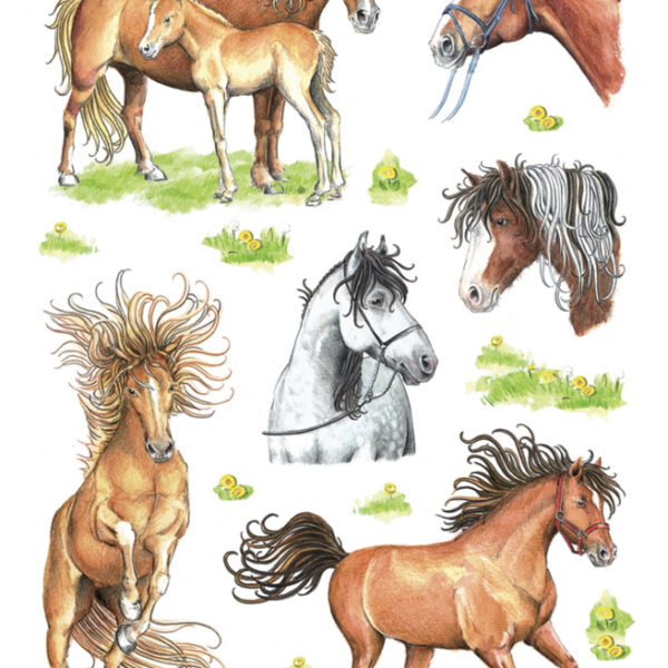 Herma-stickers 'Getekende paarden'