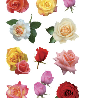 Herma stickers bloemenprint