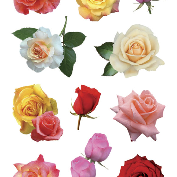 Herma stickers bloemenprint