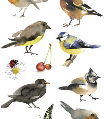 Herma Sticker Decoratie 'Aquarel Vogels'