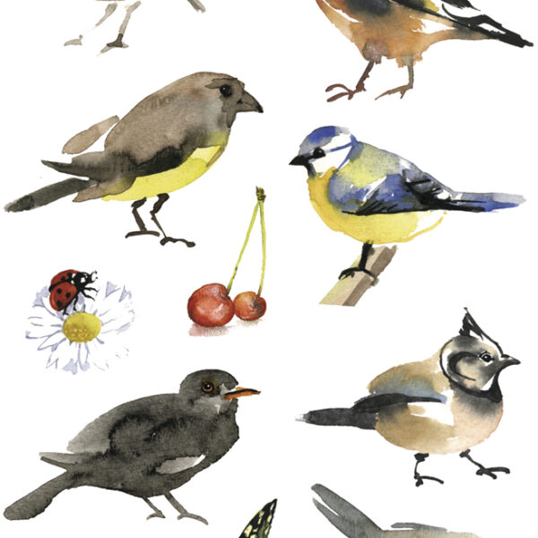 Herma Sticker Decoratie 'Aquarel Vogels'