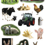 Herma Stickers Boerderijdieren Foto