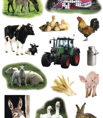 Herma Stickers Boerderijdieren Foto