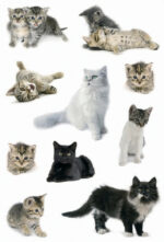HERMA Stickers Kattenfoto's