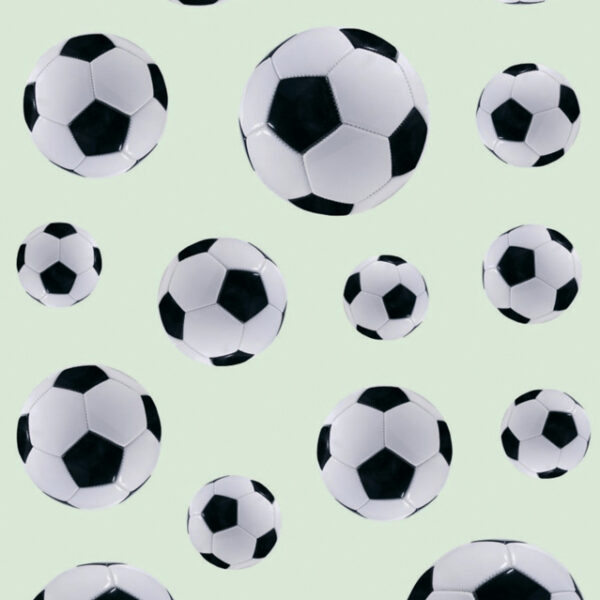 Herma Stickers Voetballen