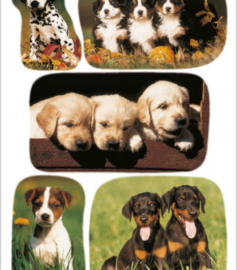 Herma Stickervellen 'Puppyfoto's'