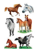 Paardrassenplakkers HERMA Decoratiestickers