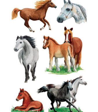 Paardrassenplakkers HERMA Decoratiestickers