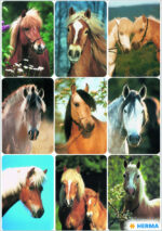 Herma Stickers Paardenhoofdjes