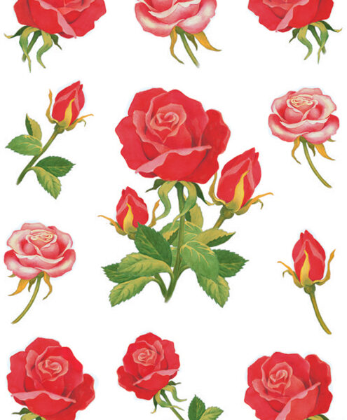 Herma stickervellen 'Rozen'