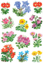 Herma Stickerbundel Bergbloemen