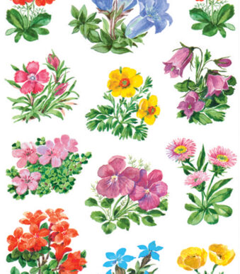 Herma Stickerbundel Bergbloemen