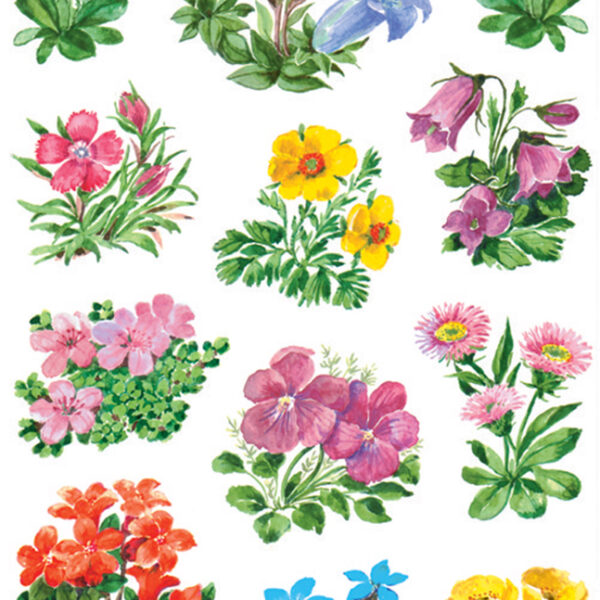 Herma Stickerbundel Bergbloemen