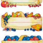 Etiketten voor fruitmanden, gekleurd, 76 x 35 mm