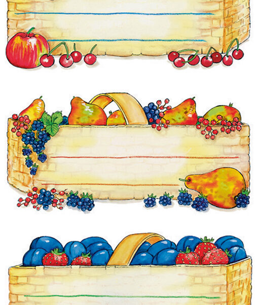 Etiketten voor fruitmanden, gekleurd, 76 x 35 mm