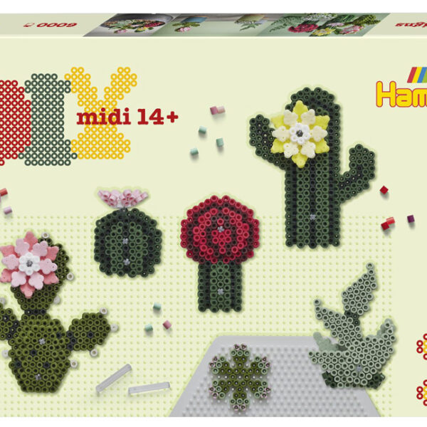 Kralenbordenset 'Vetplanten', cadeauverpakking