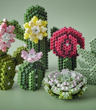 Kralenbordenset 'Vetplanten', cadeauverpakking