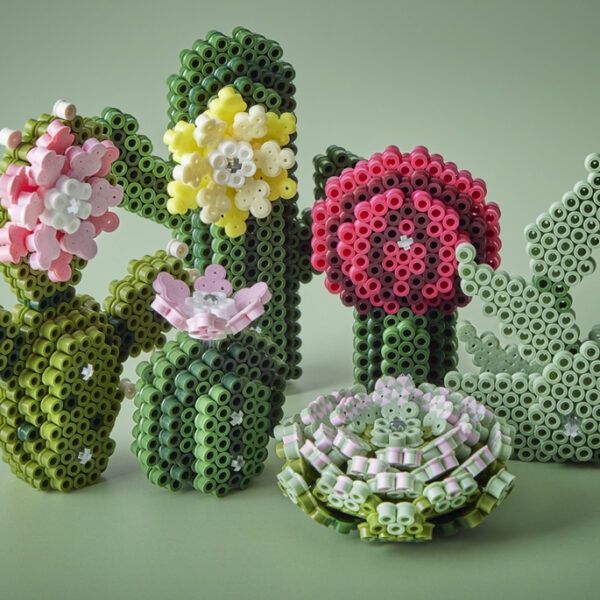 Kralenbordenset 'Vetplanten', cadeauverpakking