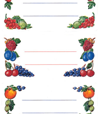 Herma huishoud-etiketten voor fruitarrangementen, 76 x 35 mm