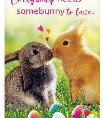 Paaswenskaart 'Knuffeltjes kussen'