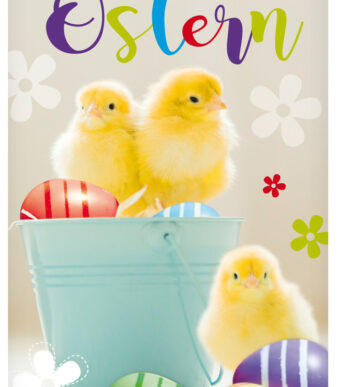 Paaswenskaart '3 kuikentjes'