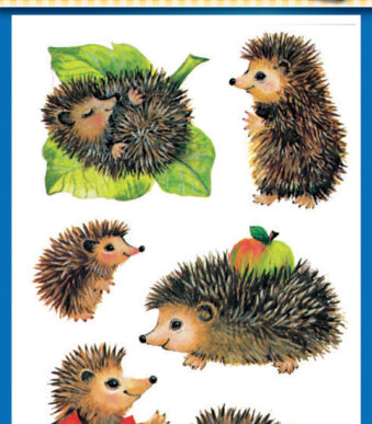 Kinderen Stickertje 'Egel'