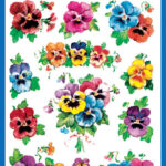 ZDesign Creatieve Sticker 'Viooltjes'