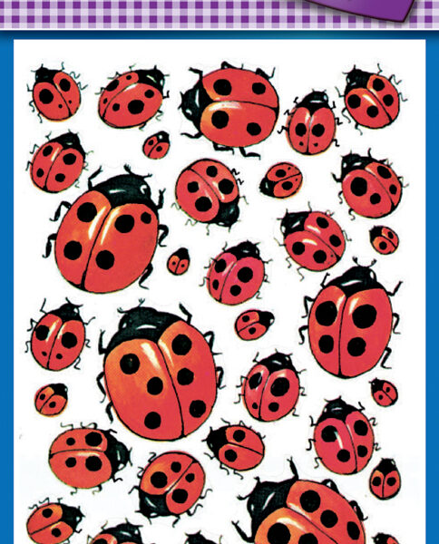 Avery Vormstickers 'Lieveheersbeestje'