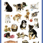 Kinderetiketten 'Honden & Katten'