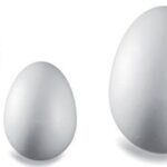 Knorr schijfstelen, hoogte: 100 mm, wit