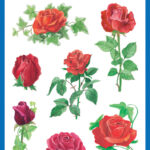 Creatieve Stickers 'Rozen en Klimop'