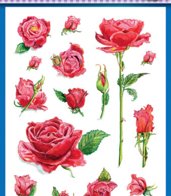 Creatieve stickers 'Rozen'