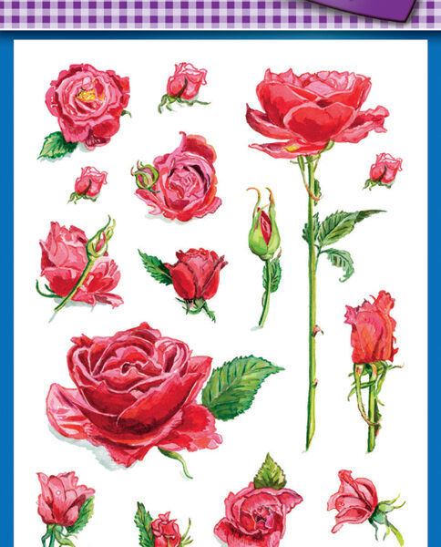 Creatieve stickers 'Rozen'